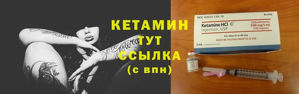 прущие грибы Михайловка