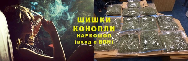 крисы Аркадак