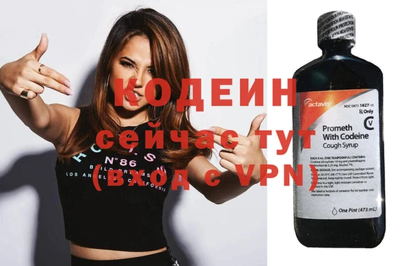 твердый Новодвинск