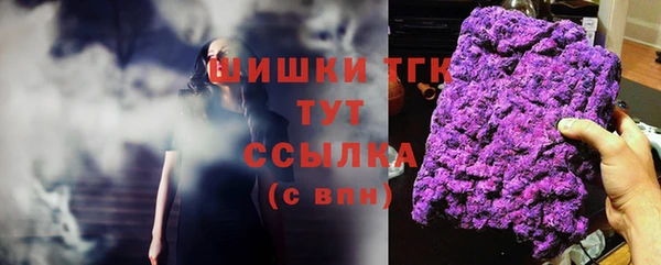 сатива Арсеньев