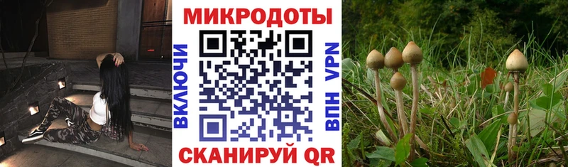 маркетплейс телеграм  Медногорск  Галлюциногенные грибы мухоморы 